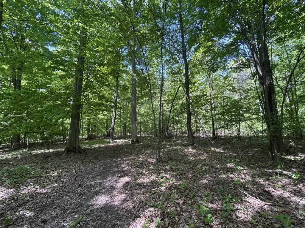 Picture 27