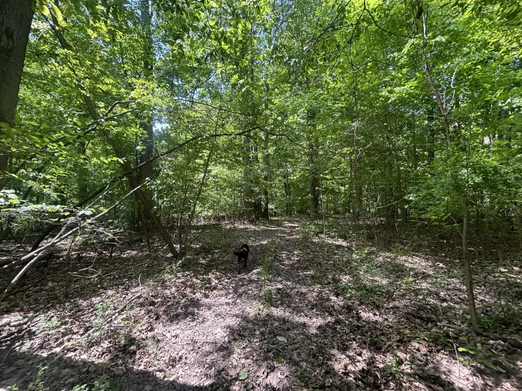 Picture 26