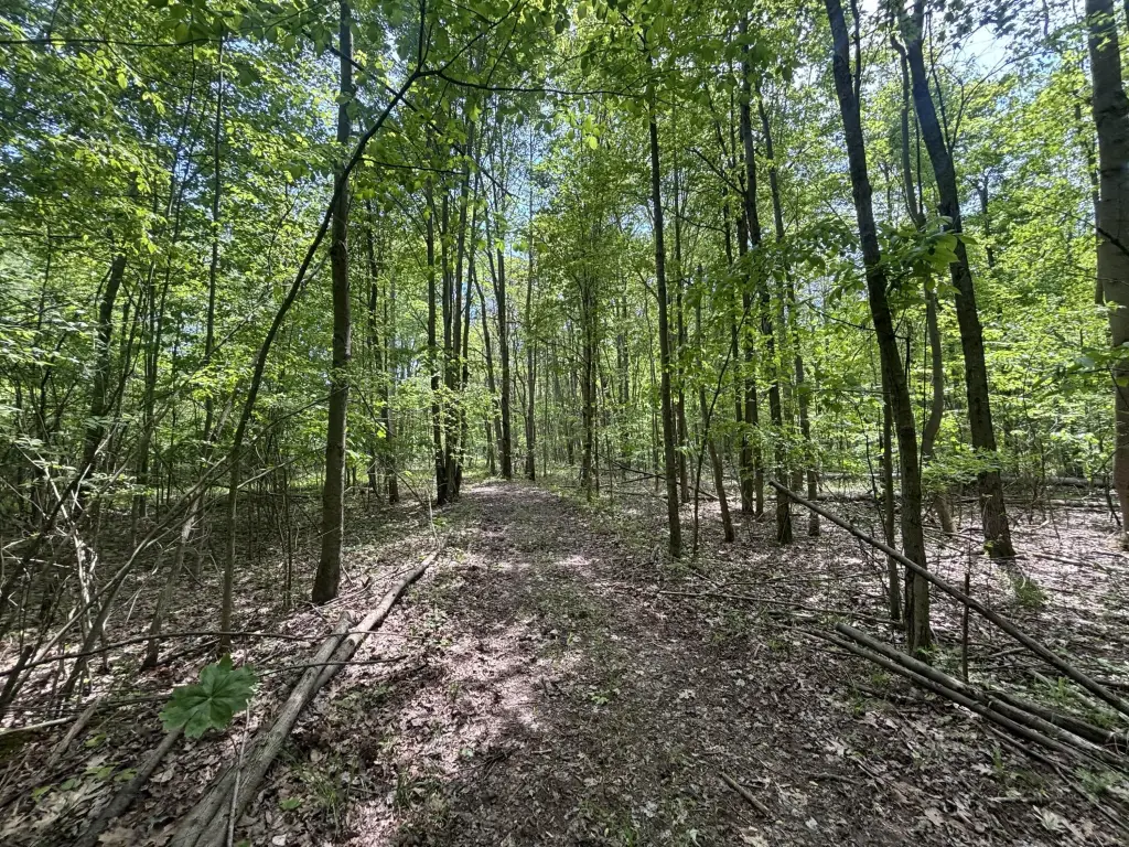 Picture 19