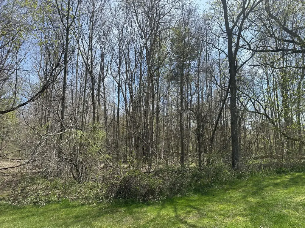 Picture 15
