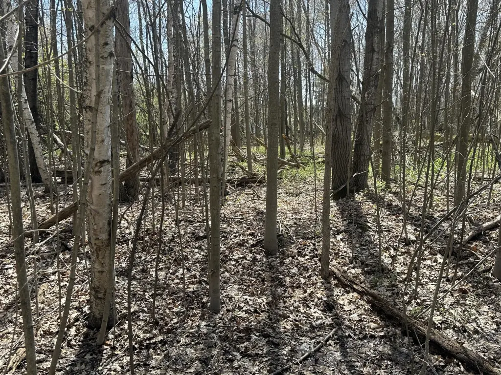 Picture 10