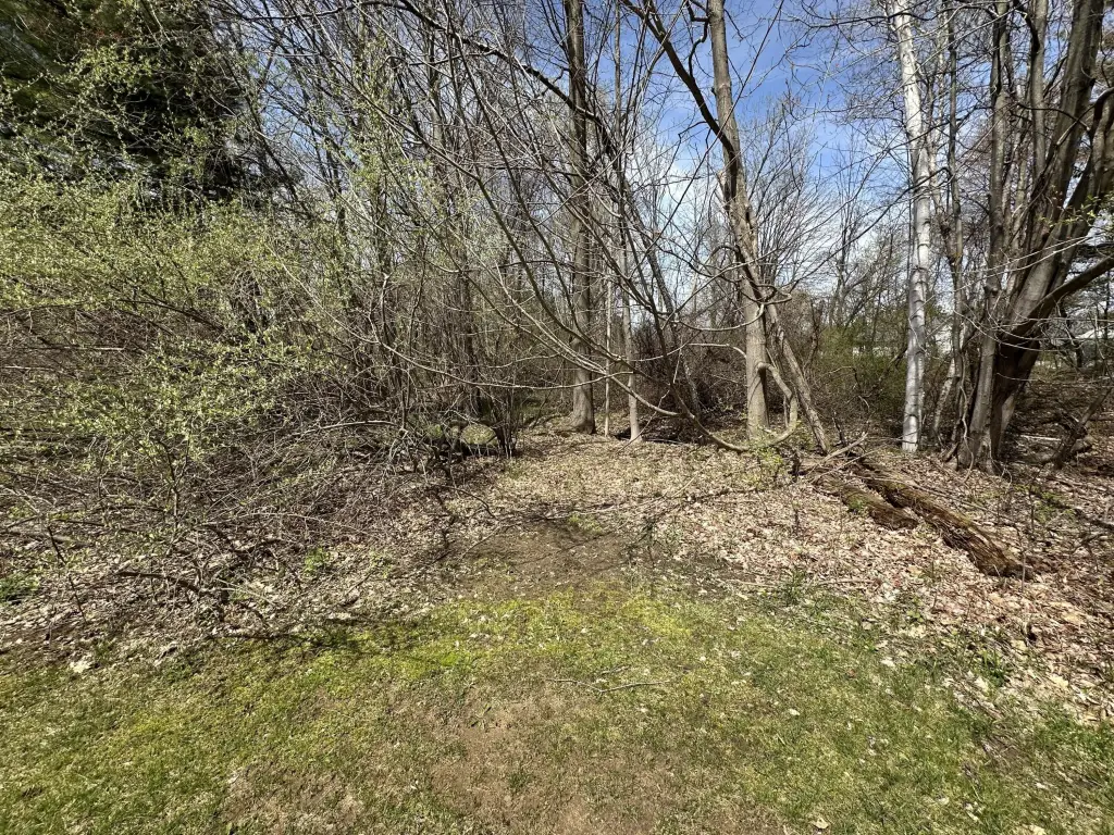 Picture 14