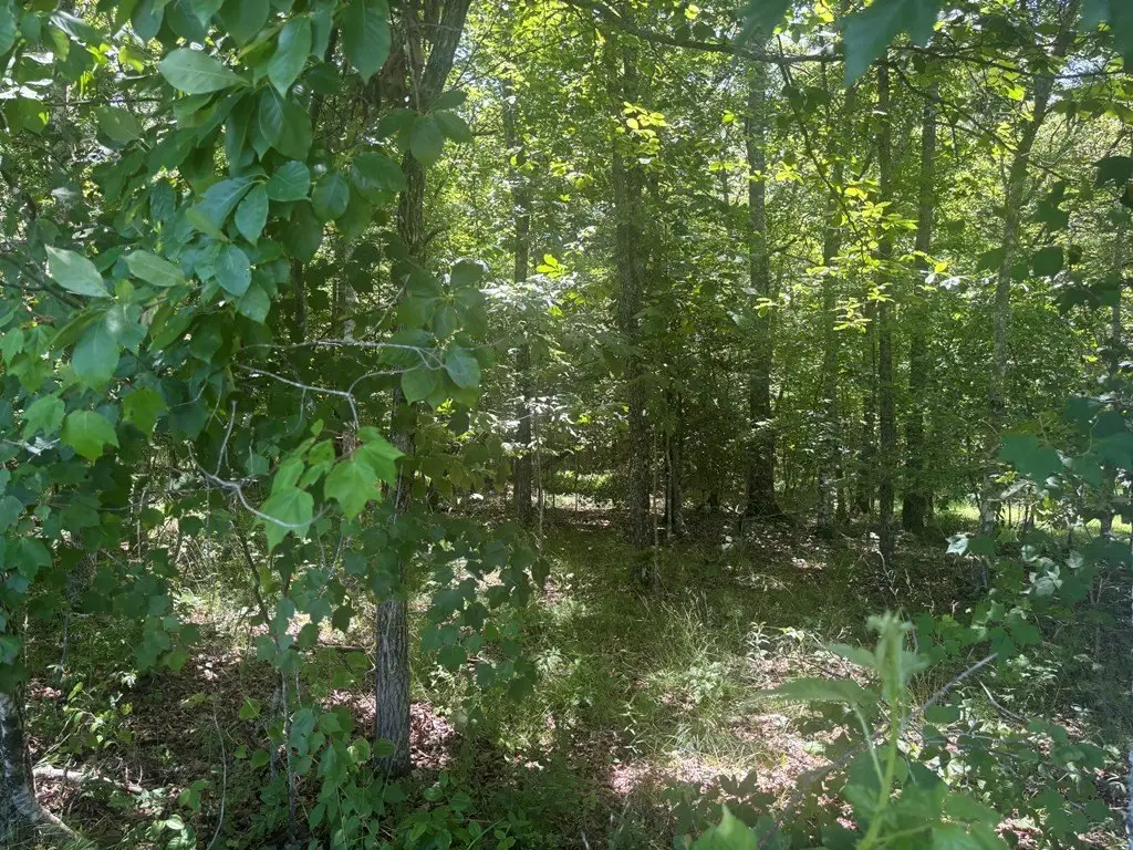 Picture 2