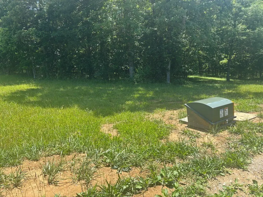 Picture 5
