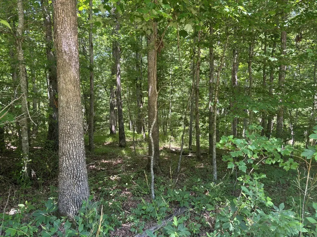Picture 2