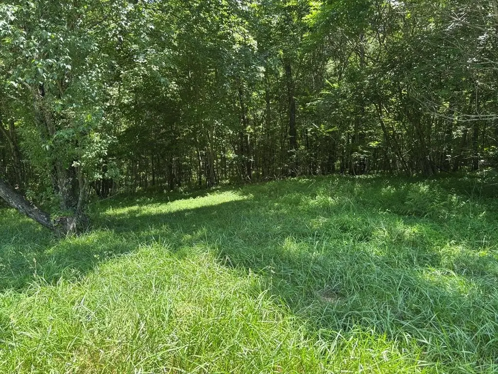 Picture 4