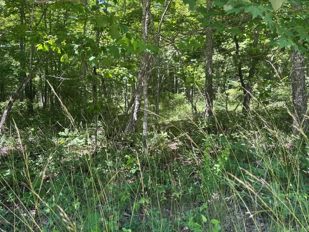 Picture 4