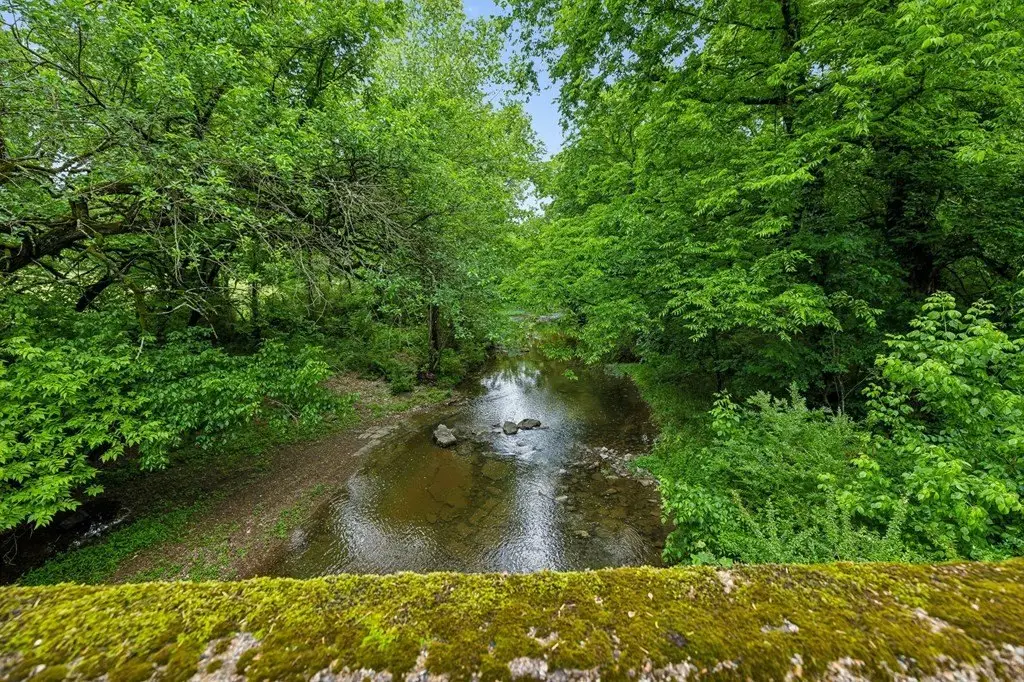 Picture 15
