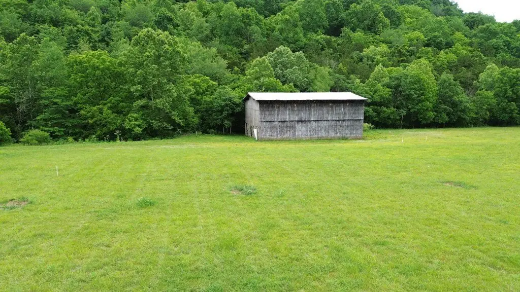 Picture 5