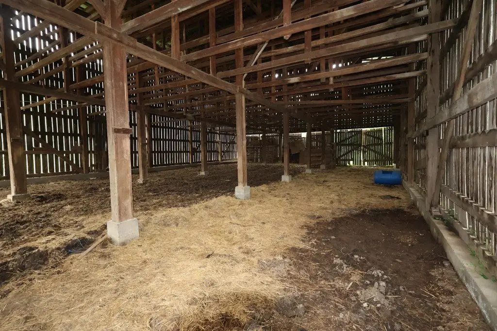Picture 11