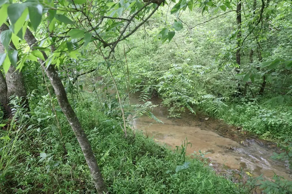 Picture 15