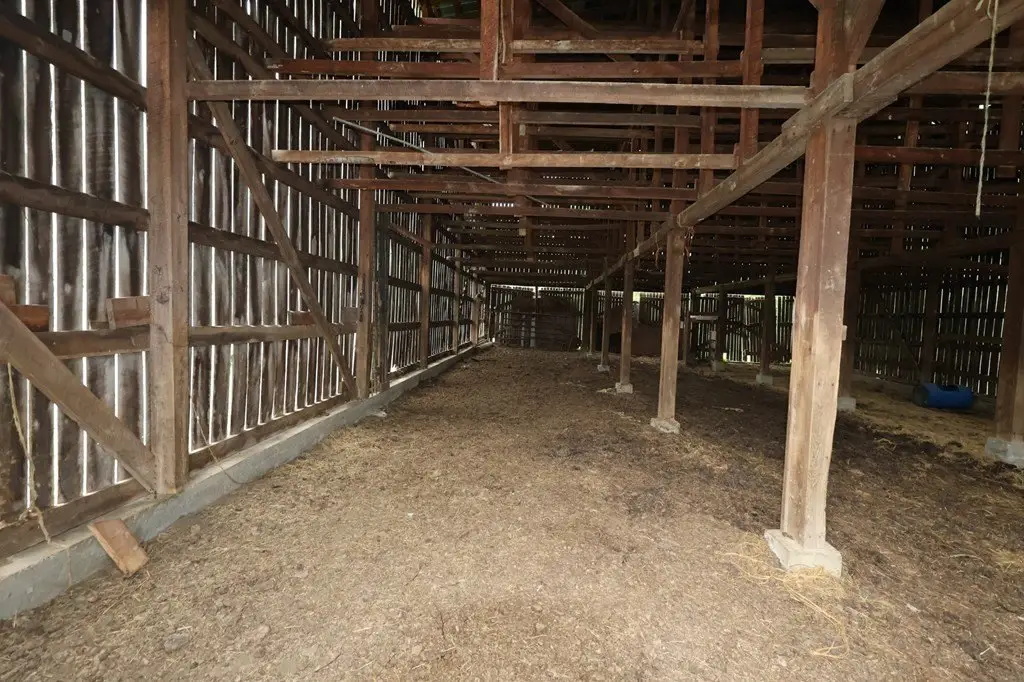 Picture 9