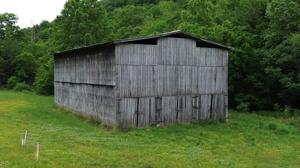 Picture 6
