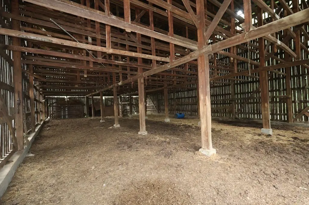 Picture 10