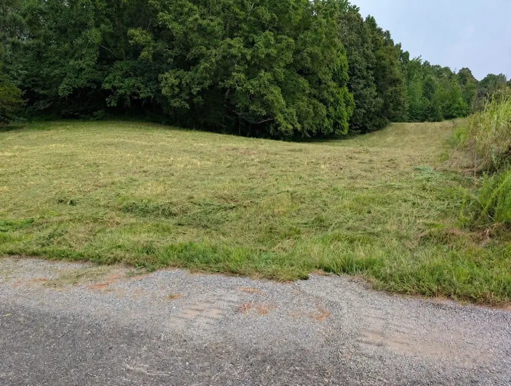 Picture 3