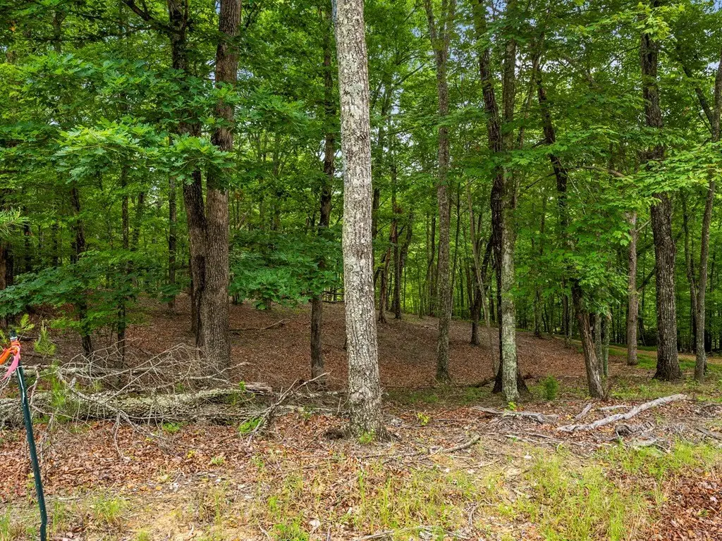Picture 18