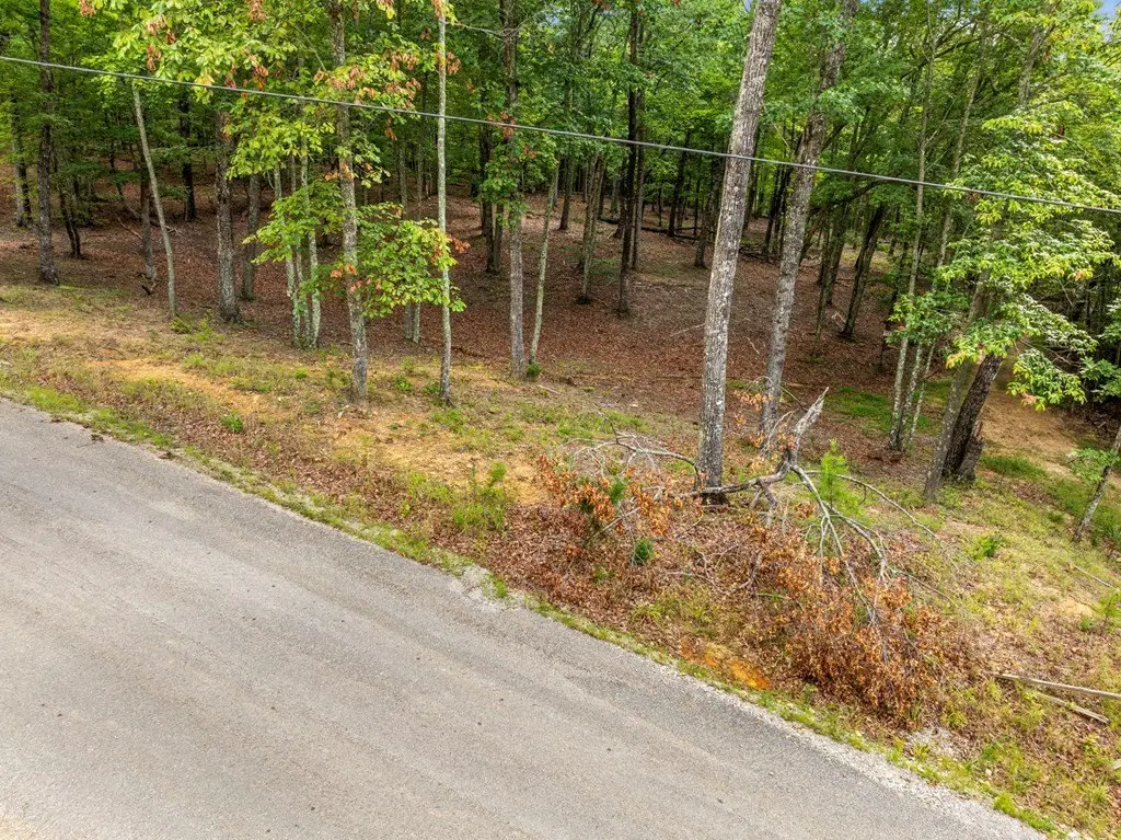 Picture 10