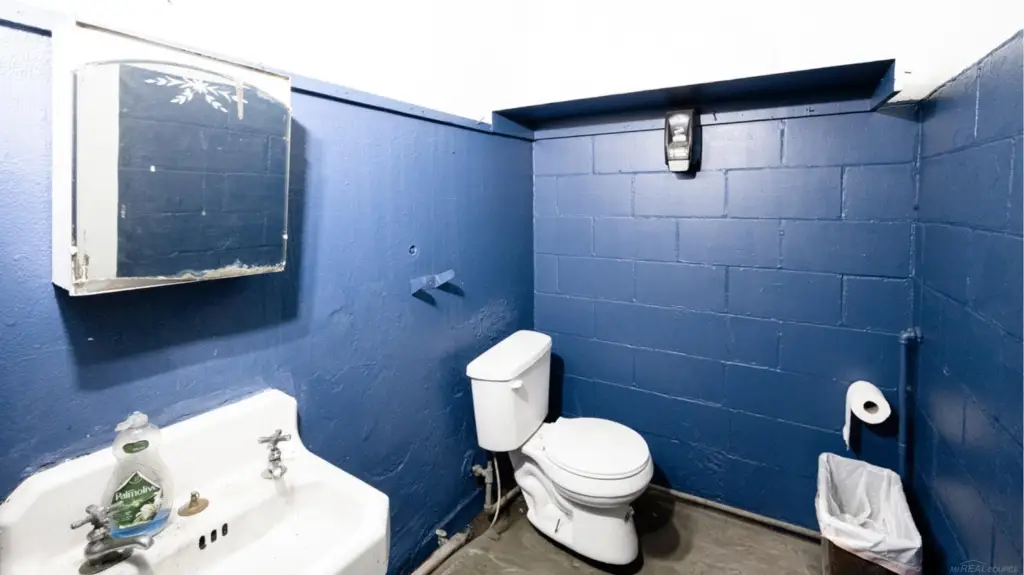 Picture 31