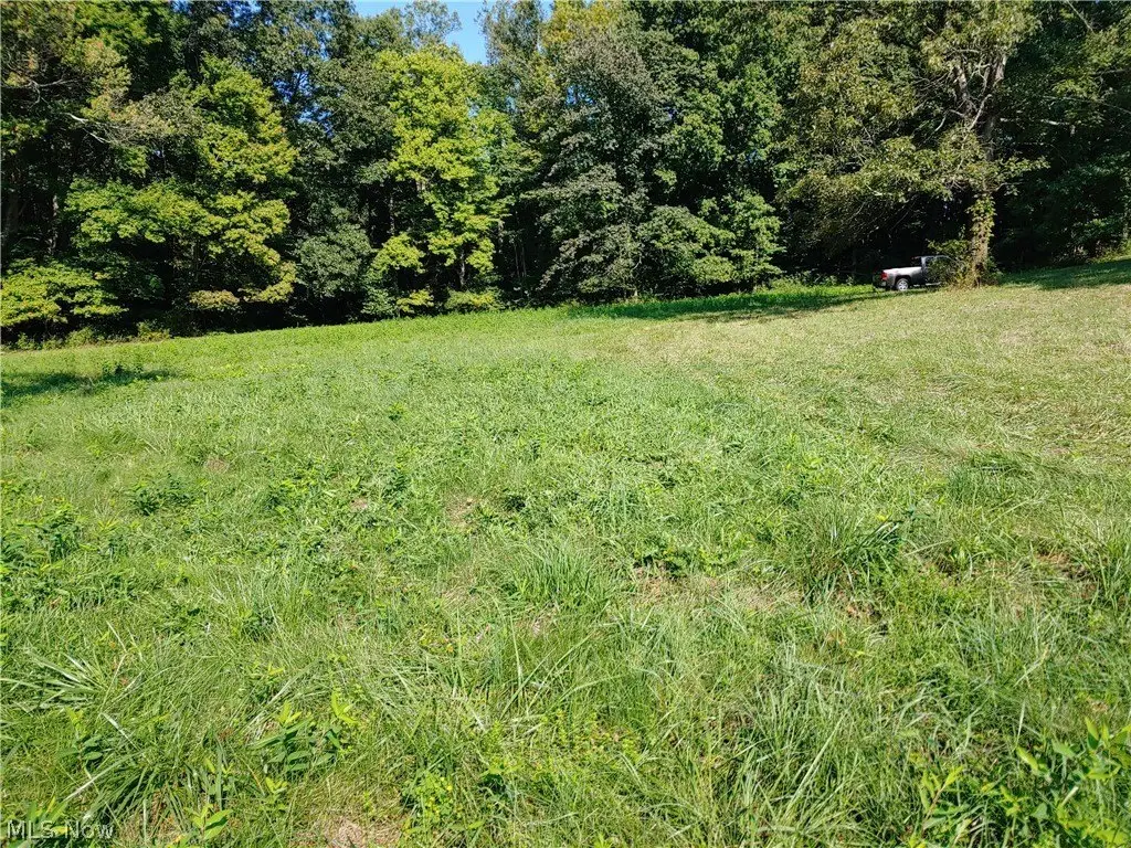 Picture 16