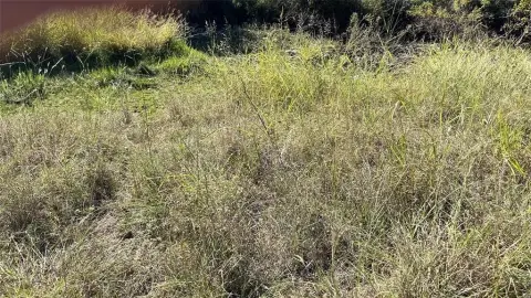 Lake Brownwood Area Unimproved Land