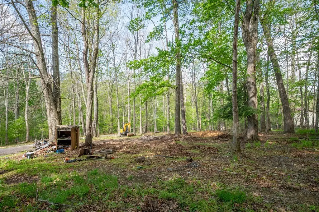 Picture 41