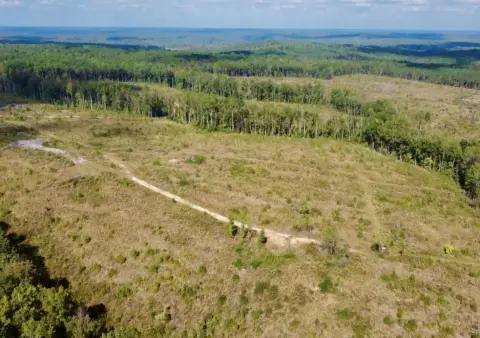 323 Acres Near Smith Lake