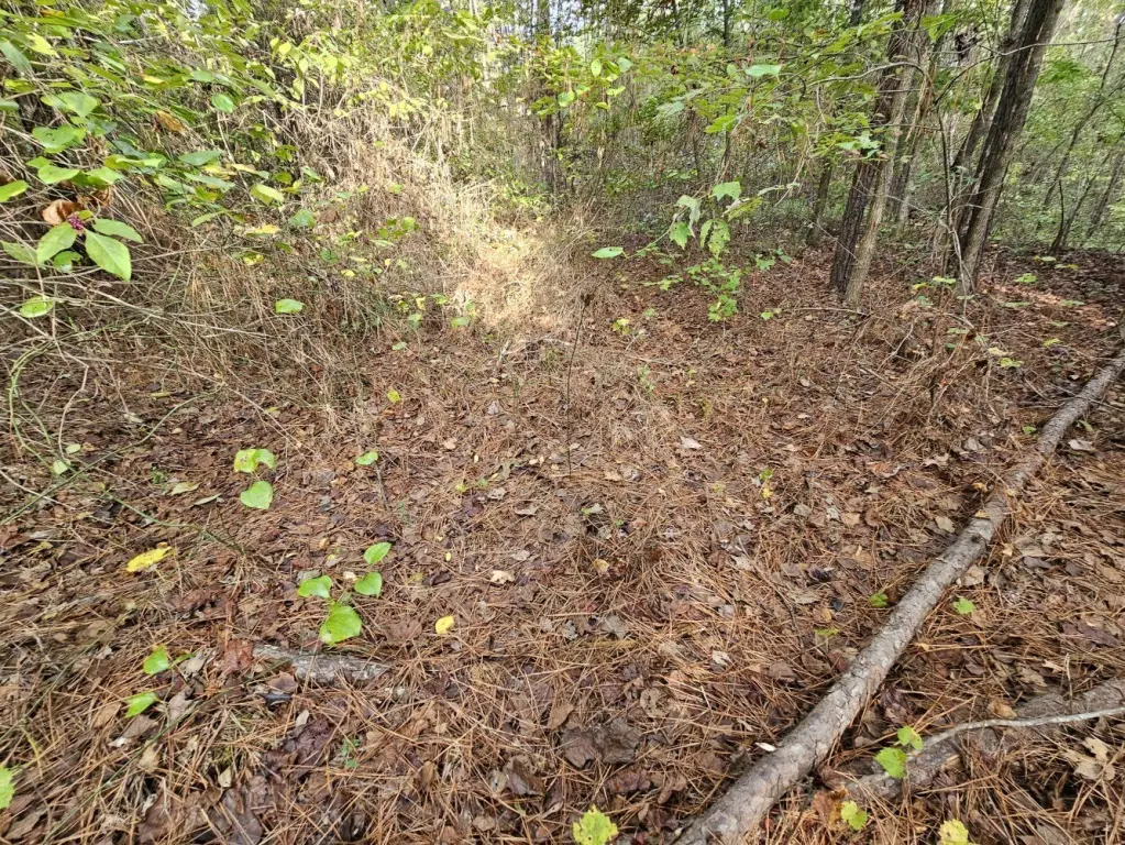 Picture 13