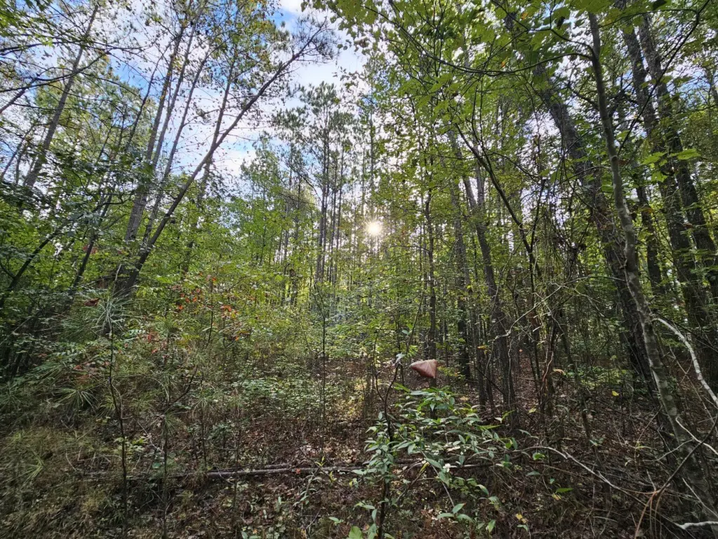 Picture 25