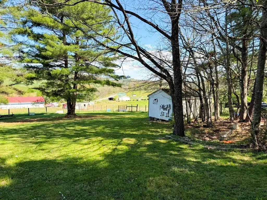 Picture 19