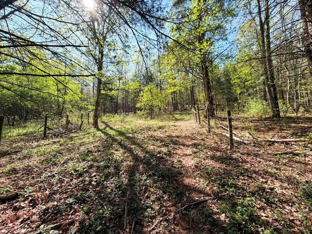 Picture 23