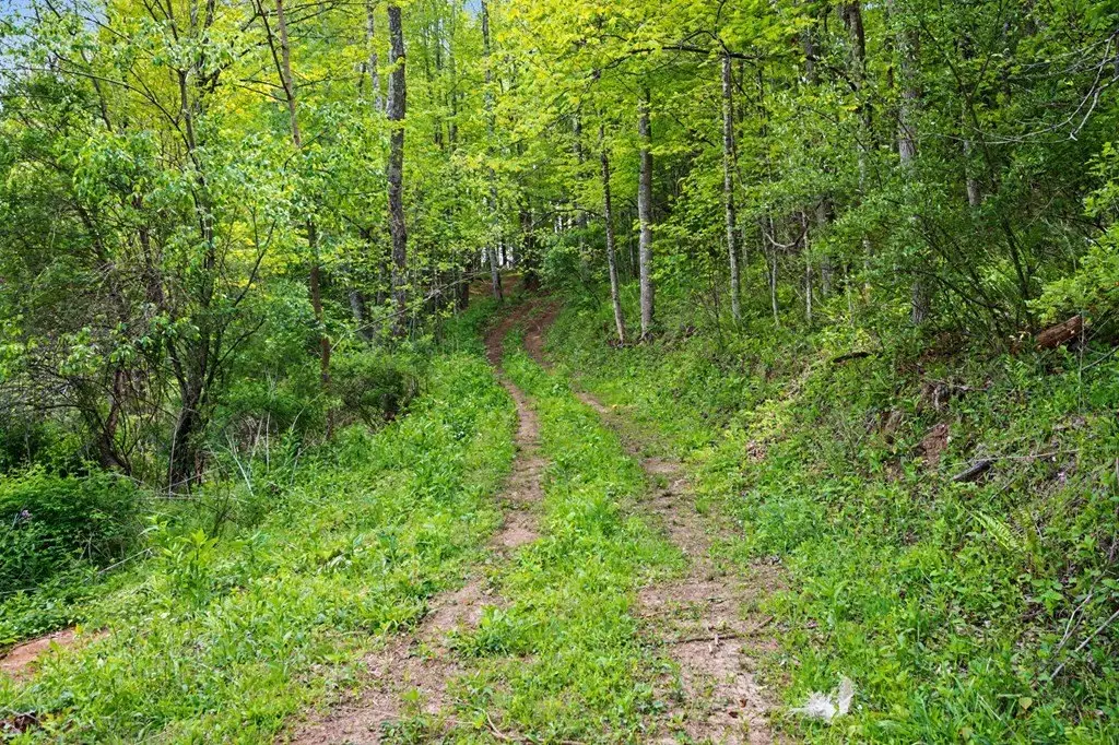Picture 28