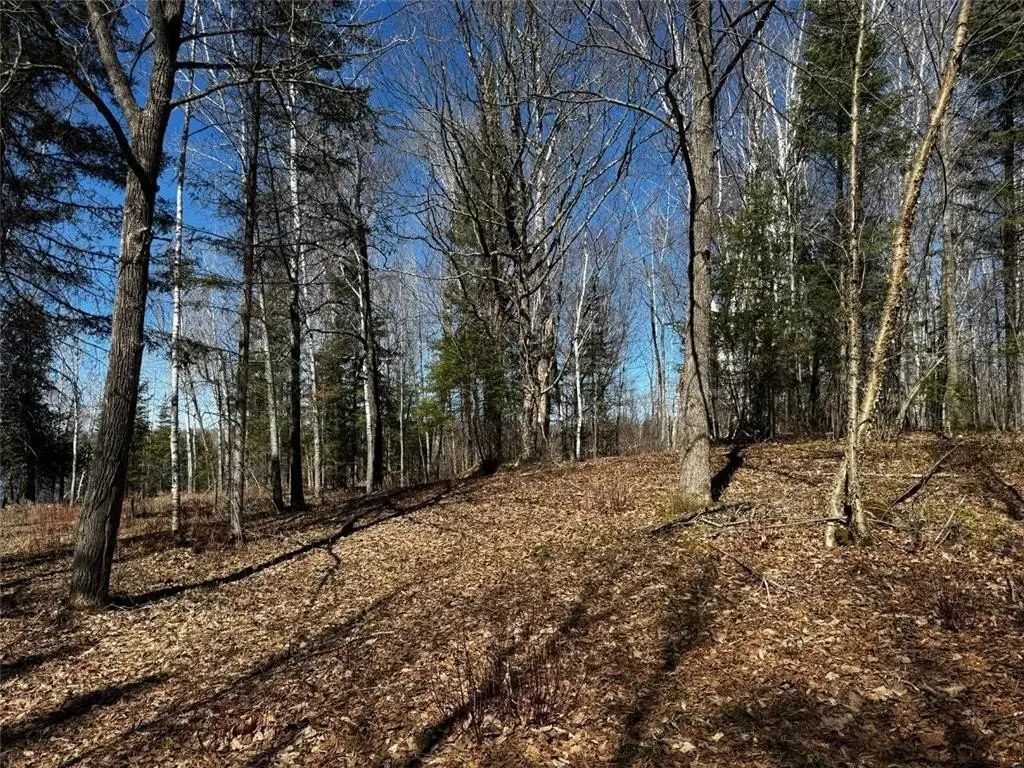 Picture 8