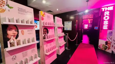 Turnkey Bar Business in Manhattan