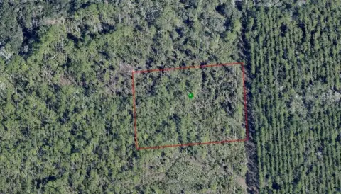 Undeveloped Land in Central Florida