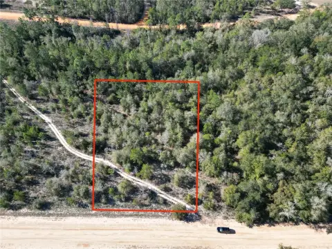 Wooded Residential Lot in Marianna