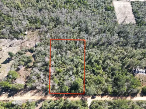 Wooded Lot in Compass Lake