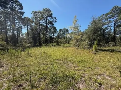 Dunnellon Vacant Lot Opportunity