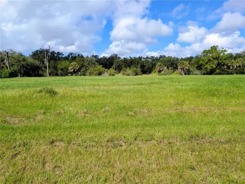 Cleared Land in Placida, Florida