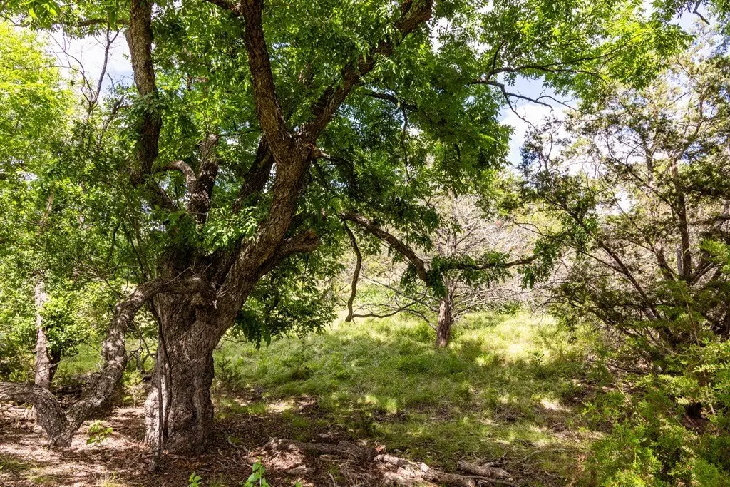Picture 23