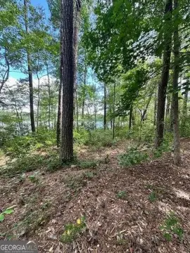 Lakefront Land in Newnan, Georgia
