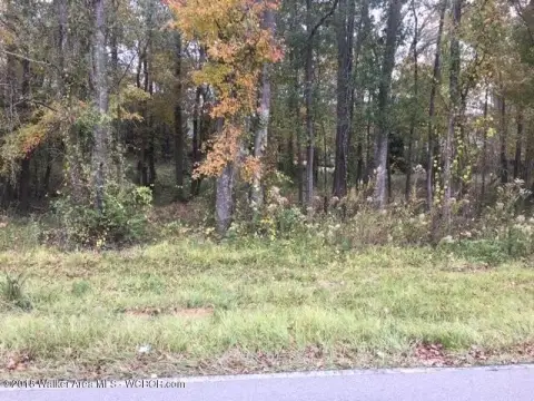 Jasper, AL Estate Lot