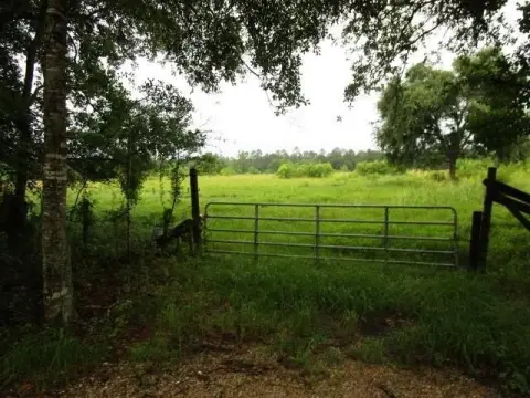 Pearl River Pasture Land