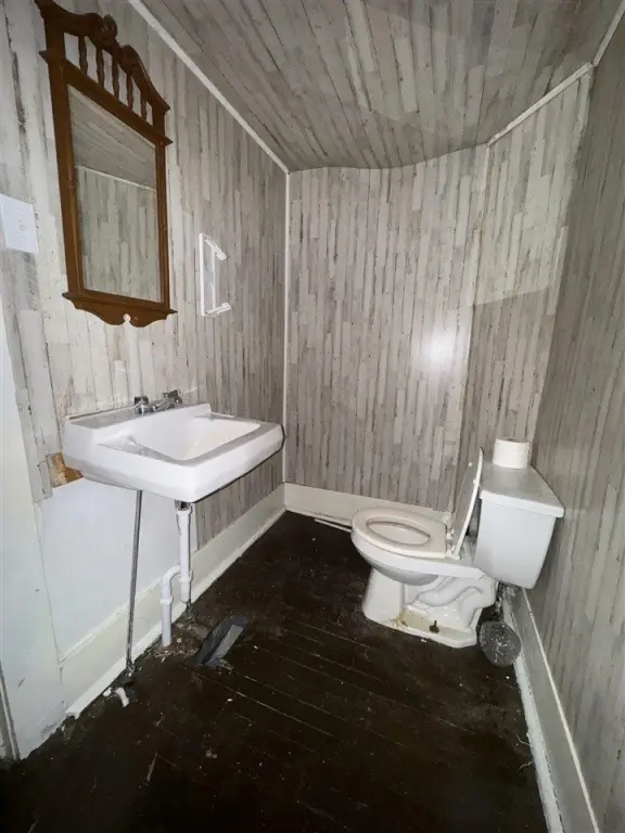 Picture 27