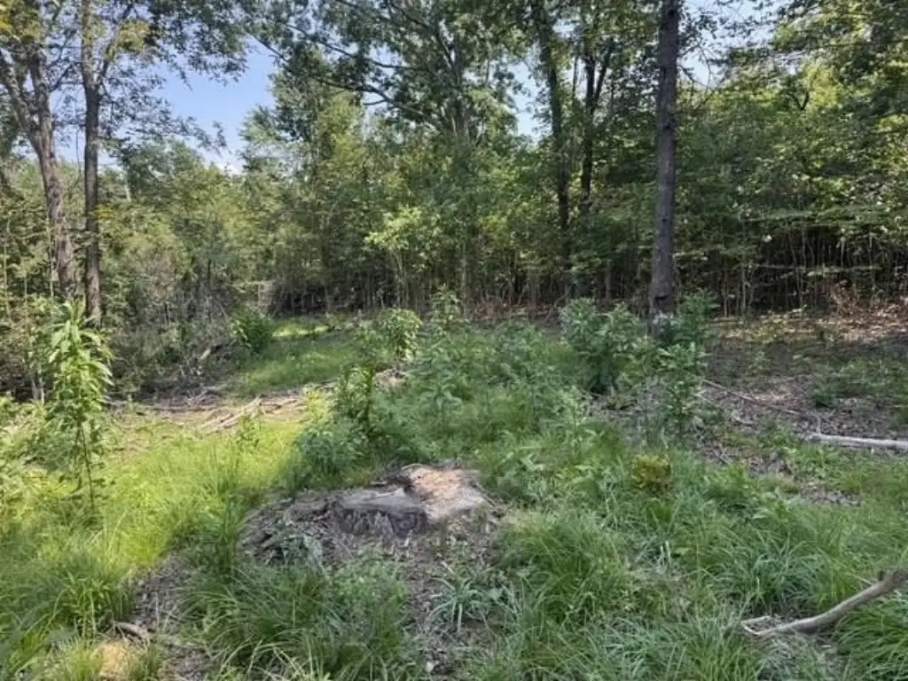 Picture 23