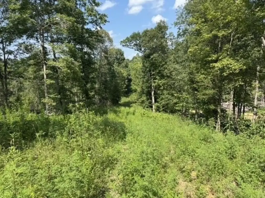 Picture 19