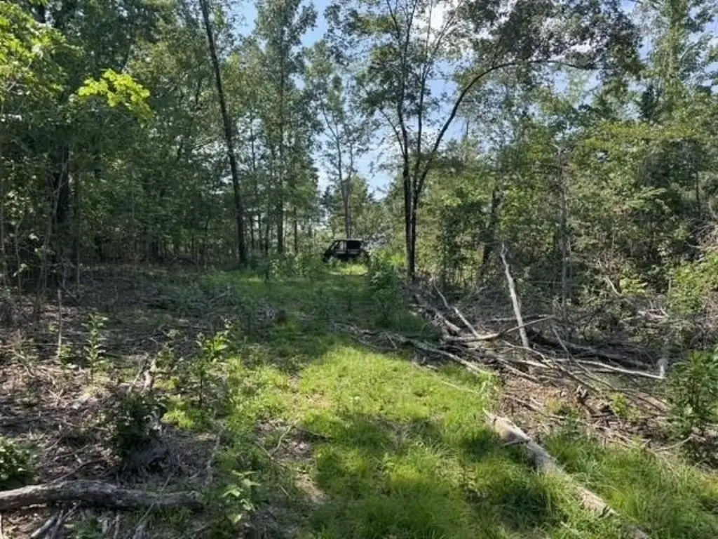 Picture 21