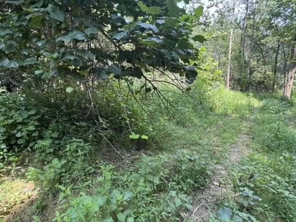 Picture 25