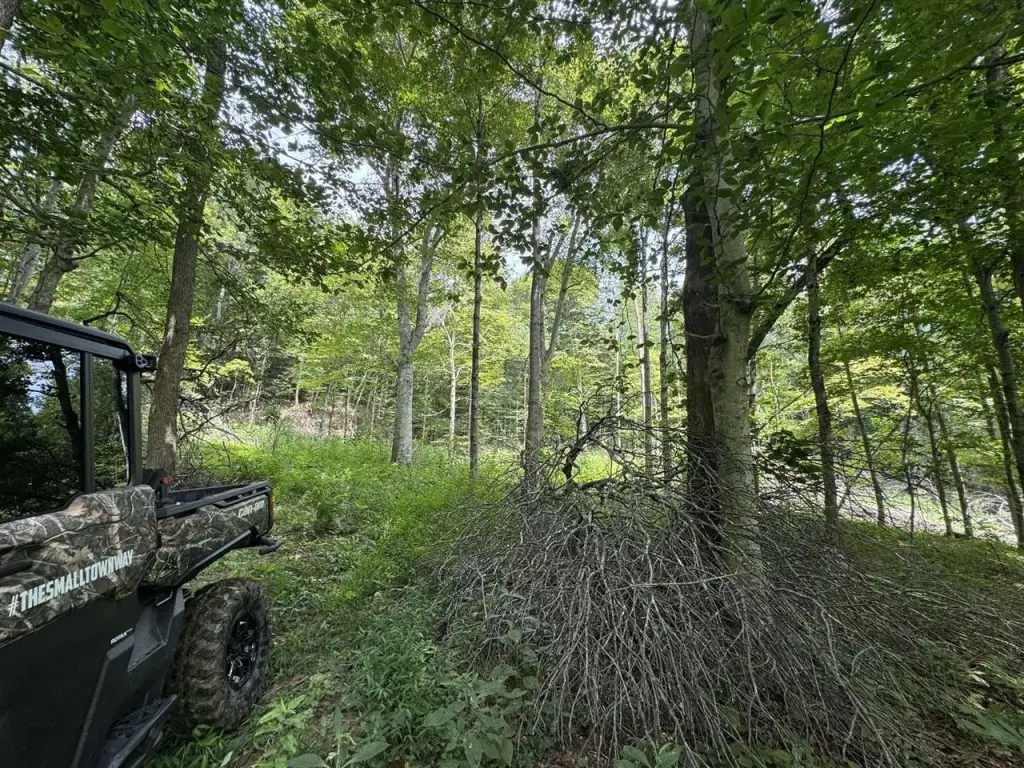 Picture 27