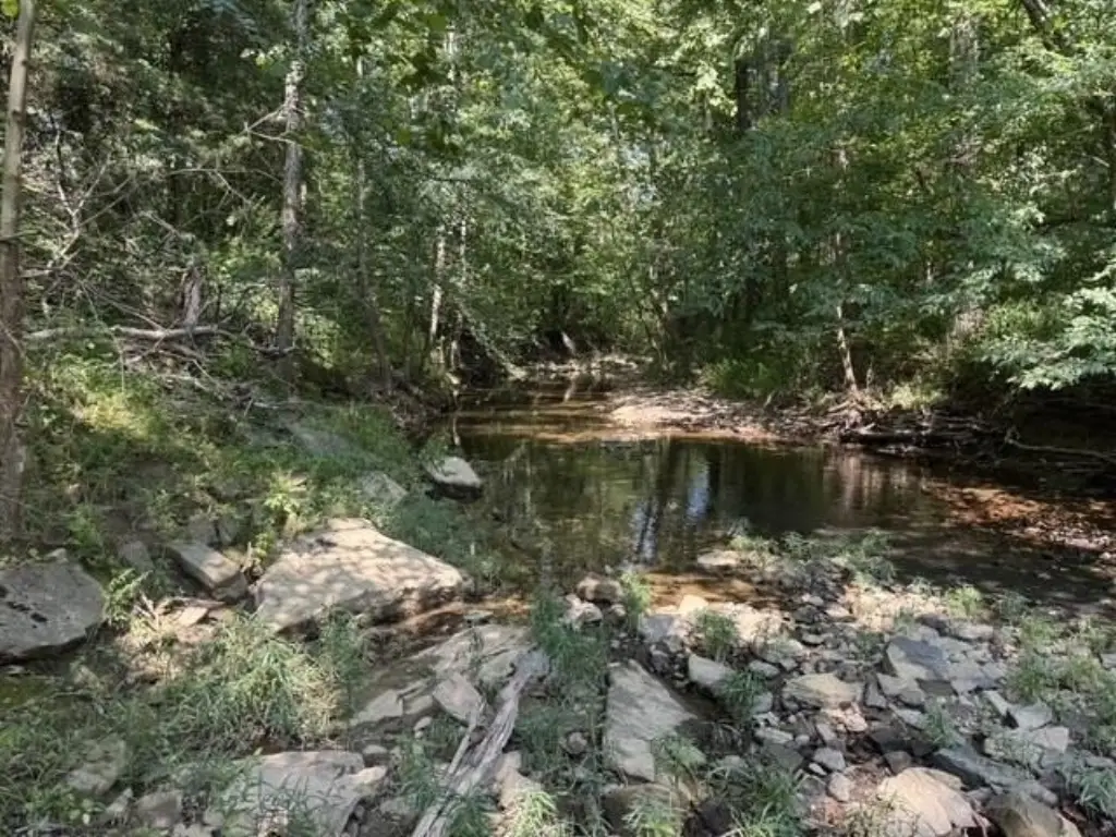 Picture 24