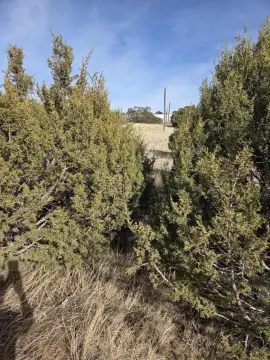 Land For Sale, Edgewood, NM